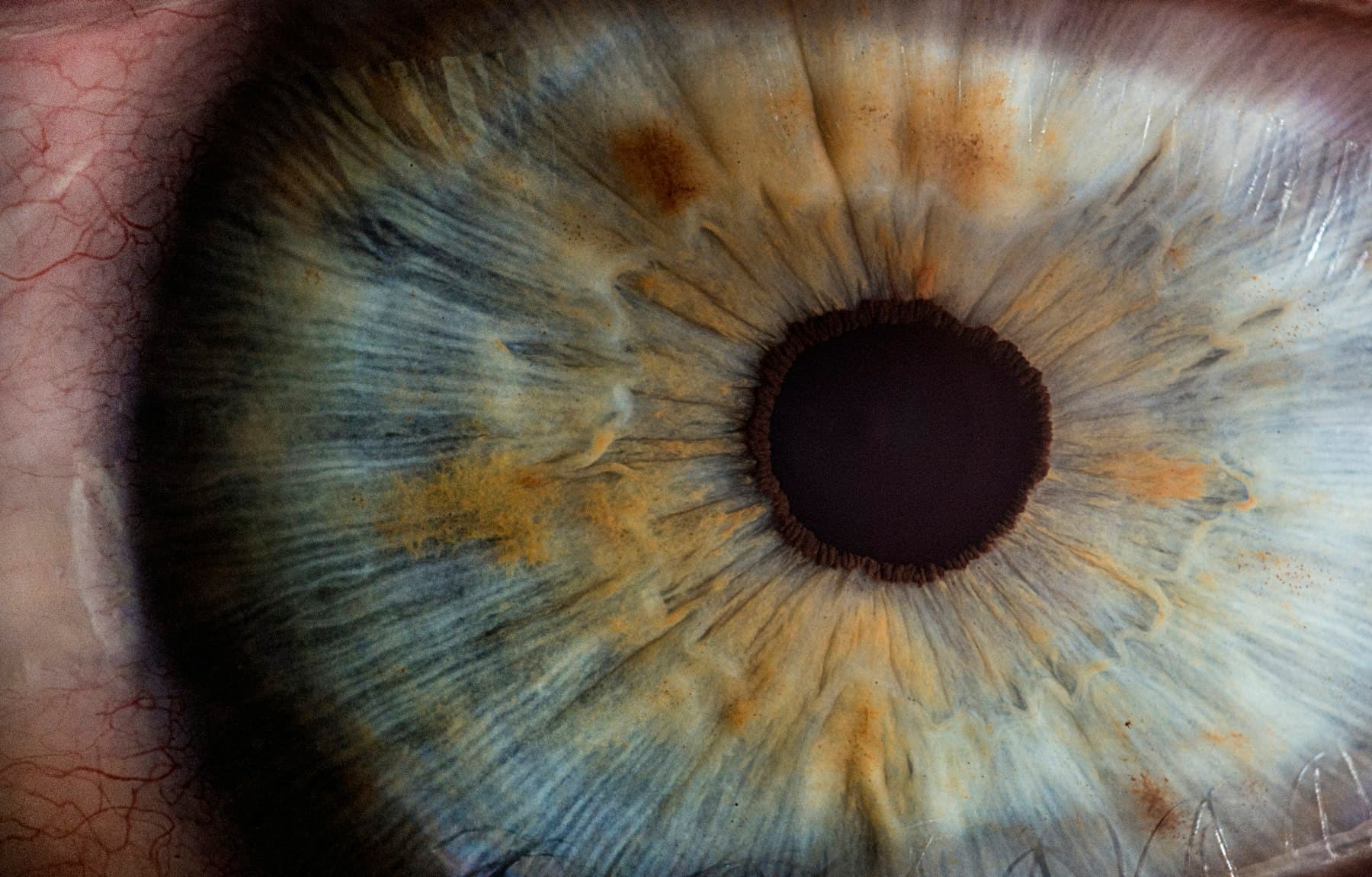 Macro photography of a human eye